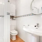 Vista 26